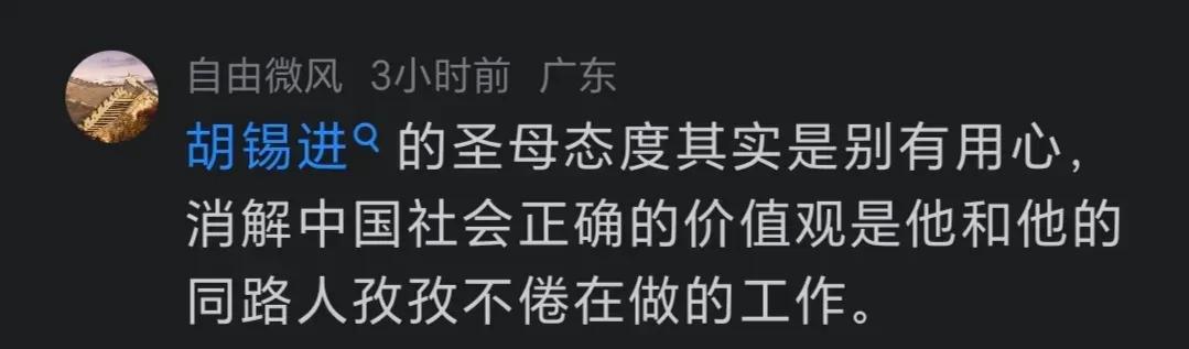 网友评老胡！