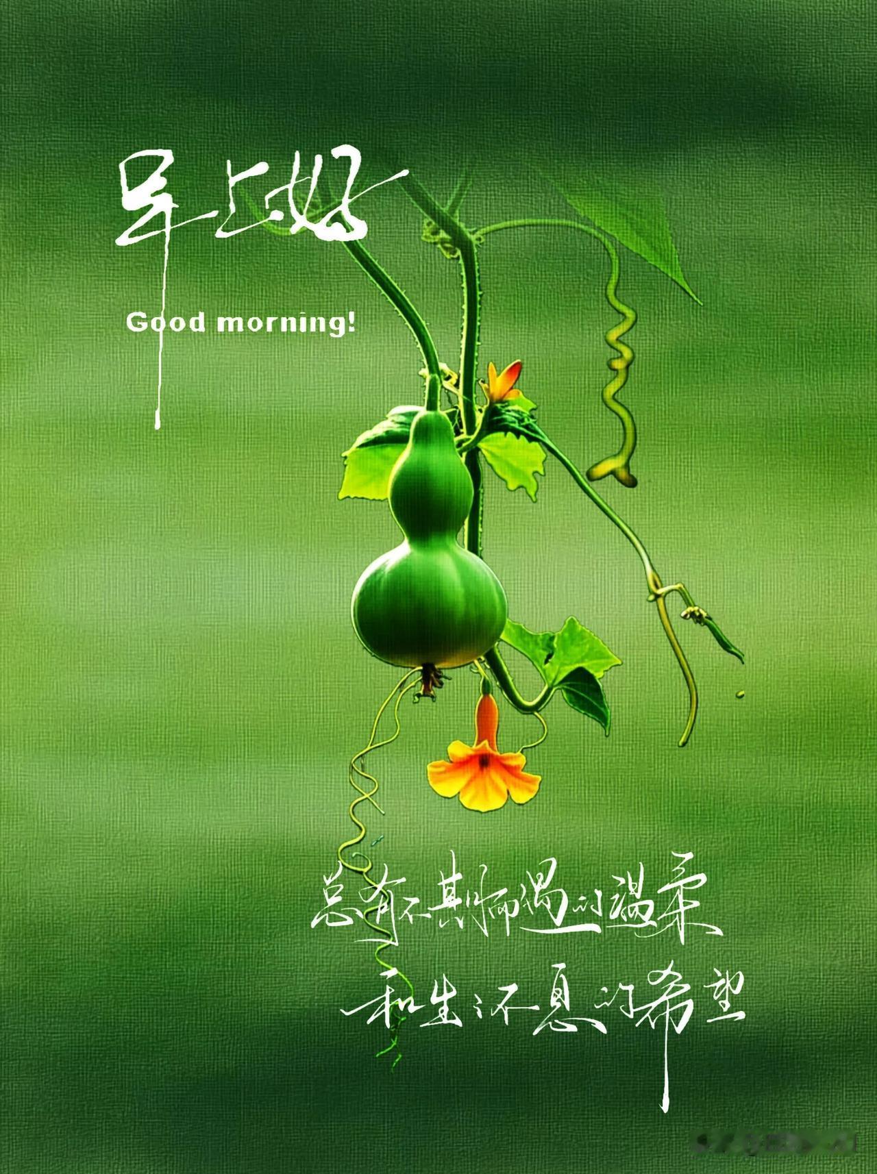 早安呀，记得吃早餐，天冷添衣，平安顺遂。