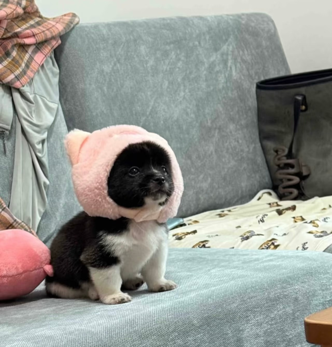 人，早上好，降温了，记得穿暖点