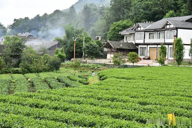 随着农村农民的日益减少，有人坐不住了，开始跳到前台指手画脚。他们害怕农民转型进城