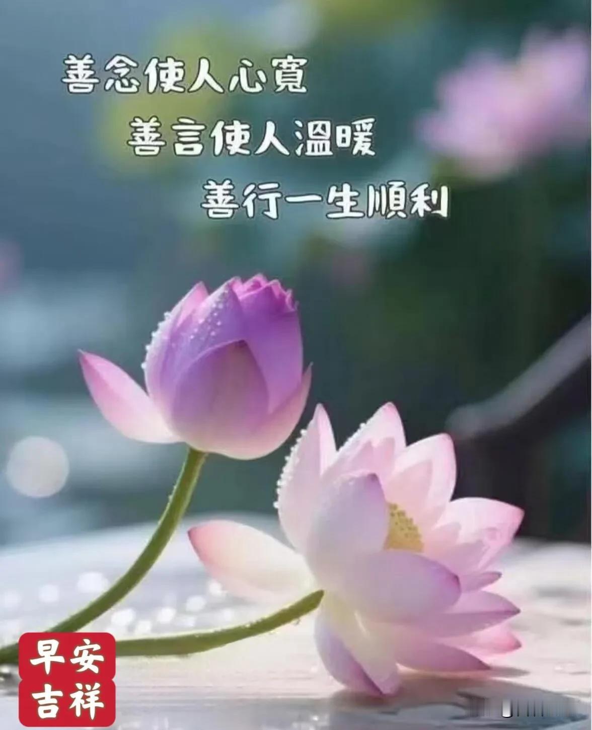 我认为不会新的一天卸下烦恼，带着舒心与热爱，好好奔赴生活。