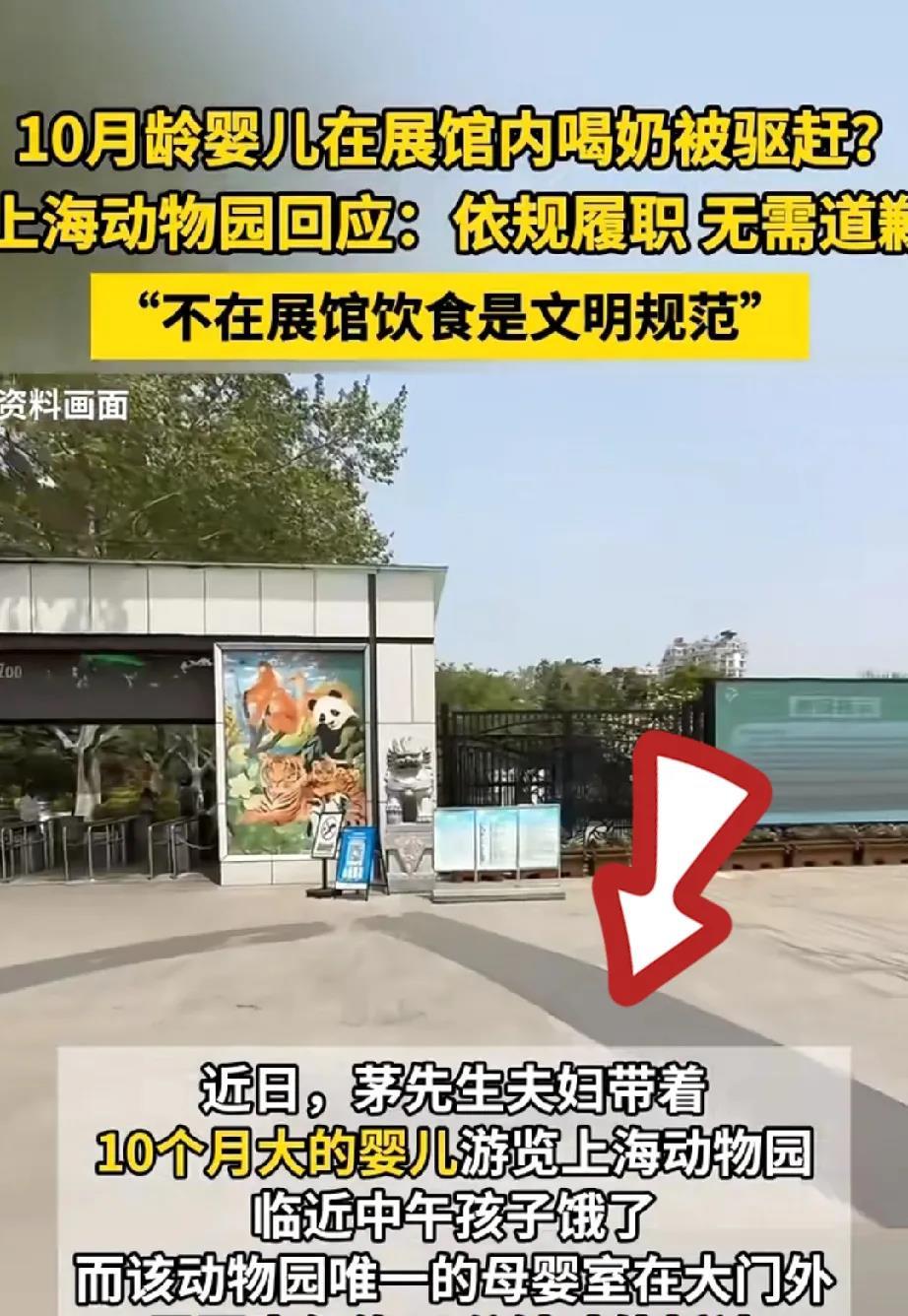 原本以为经历了禁止喂食婴儿后，上海动物园的员工肯定要被开除，结果万万没想到，