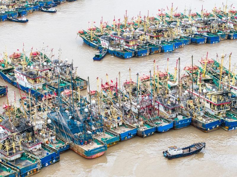 今年第26号台风“凤凰”在12日19点50分前后于台湾屏东县恒春镇沿海登陆，登陆