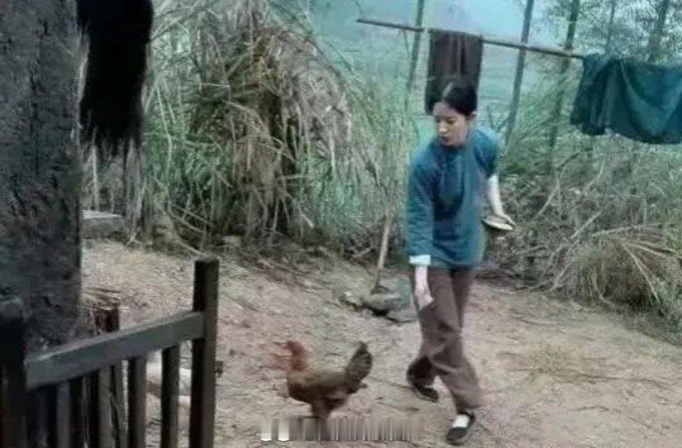 一看刘亦菲就演不了农村妇女，喂鸡是不用追着喂的，懂？