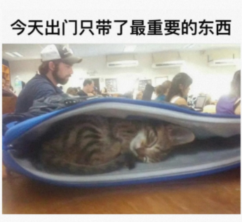 今天出门只带了最重要的东西