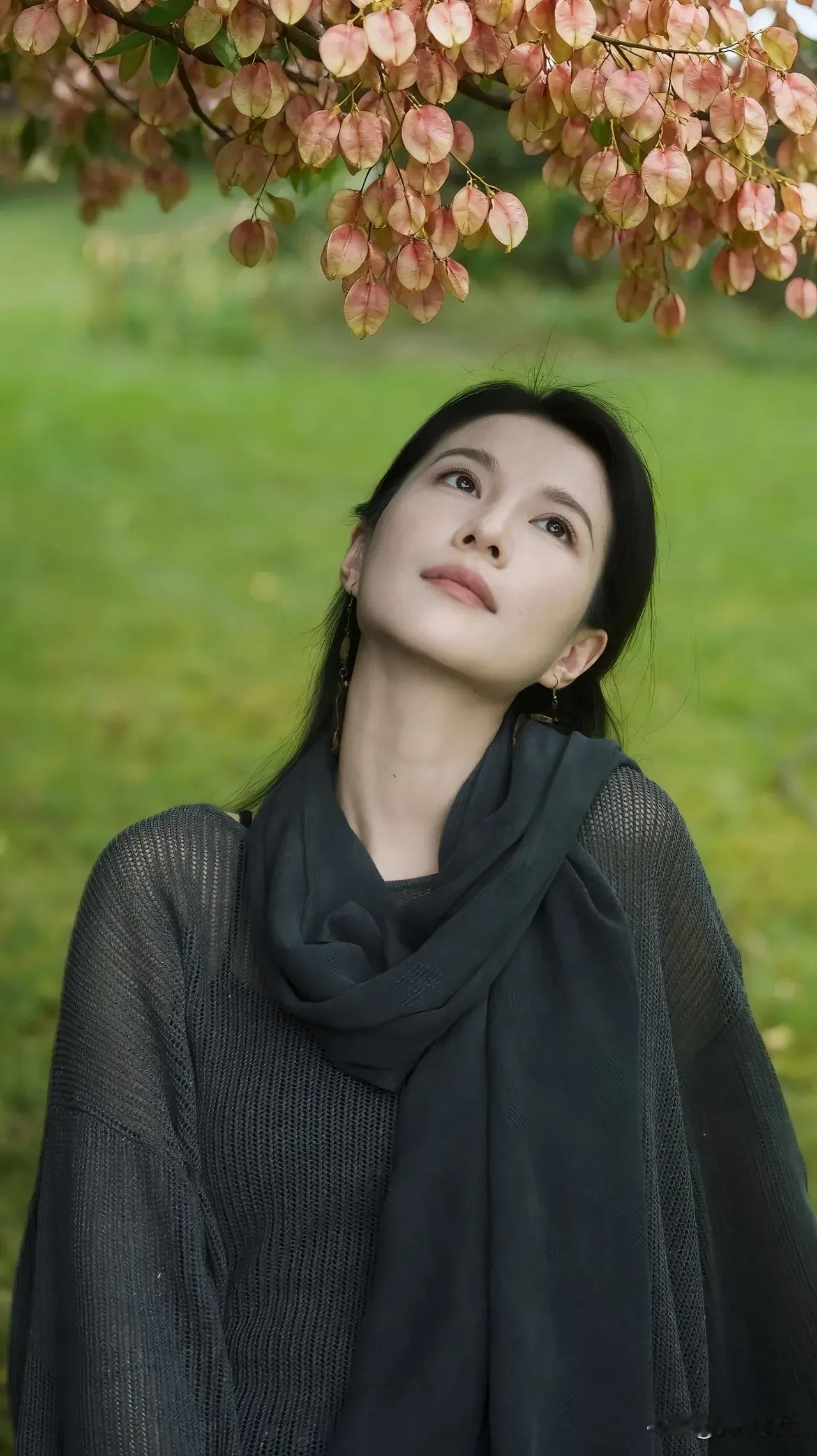 中秋月，金山岭