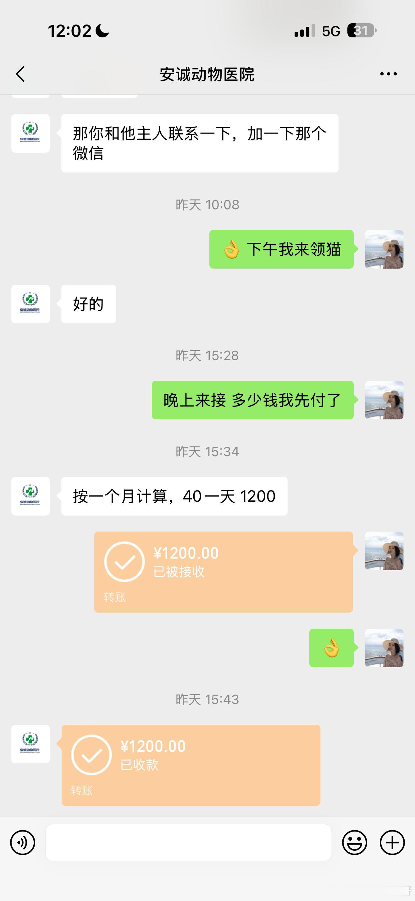 还是得夸夸衢州这家宠物医院领养了一只猫传腹小猫带去住了快40天只收了一个月的