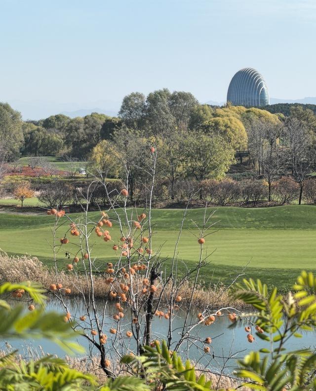 现在看来，我们要解决台湾问题，有一个迟早要面临的问题，就是日本。因为日本自己总是