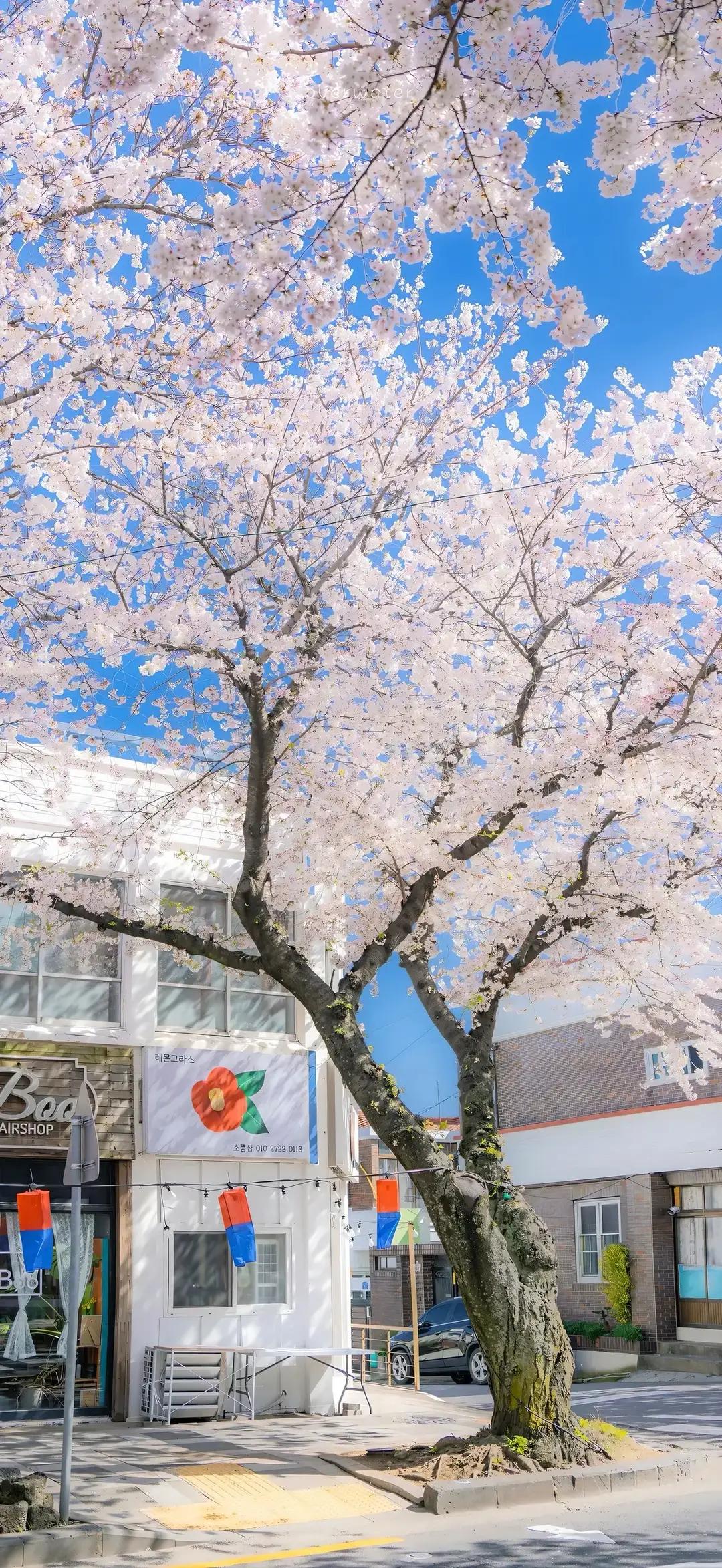 最有用的一句话:“毁掉我们健康、透支我们寿命的，从来不是抽烟、喝酒、打麻将这些