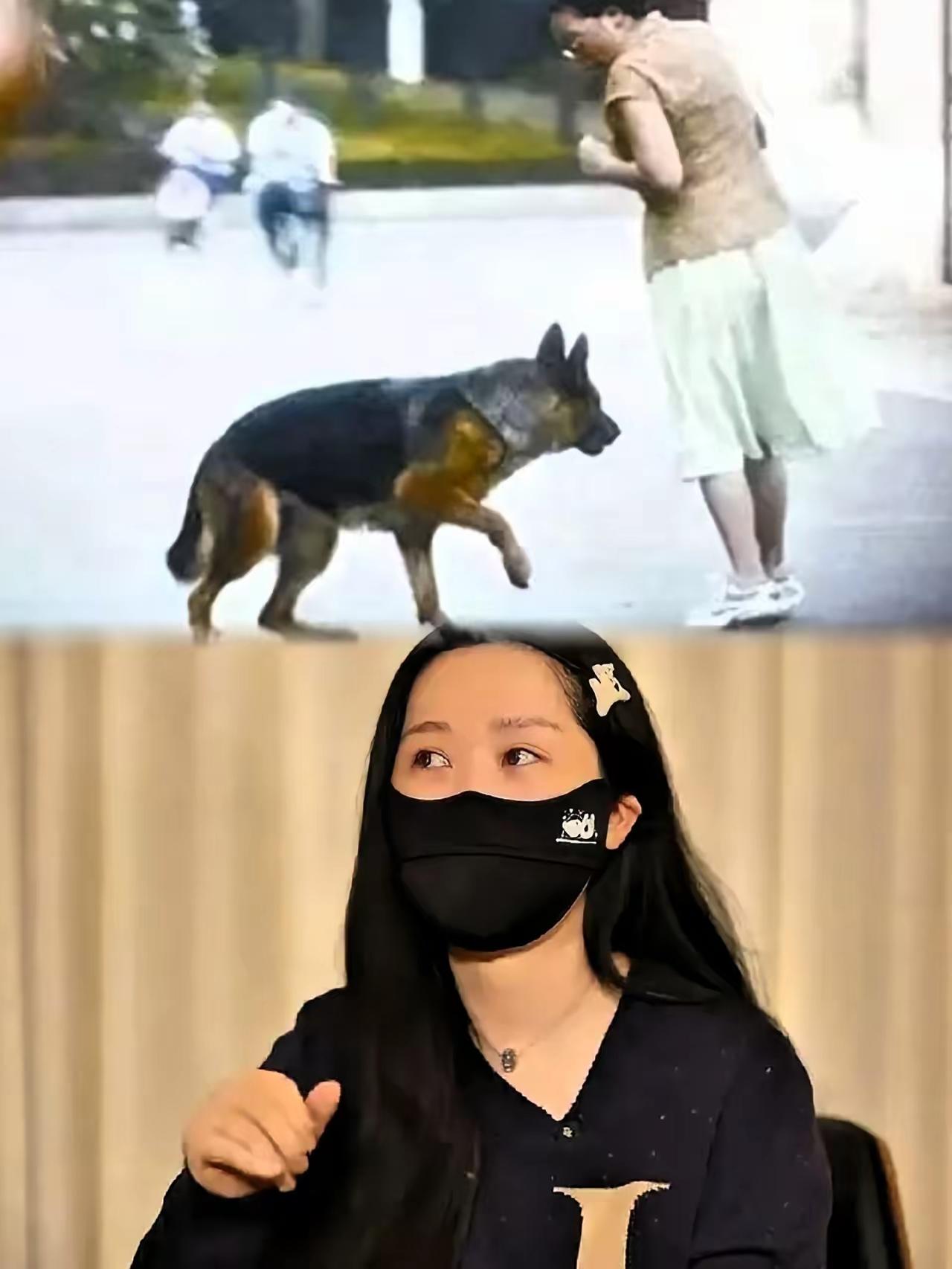 社区养狗的矛盾都快吵翻了天但这事根本不是“狗的问题”，而是有人在背后故意搅浑水