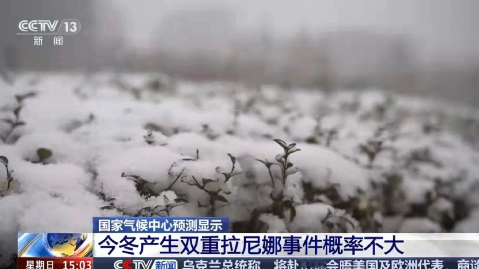 我国已经进入拉尼娜状态刚刷到热搜直接愣住，我国已经进入拉尼娜状态冲上热榜TOP