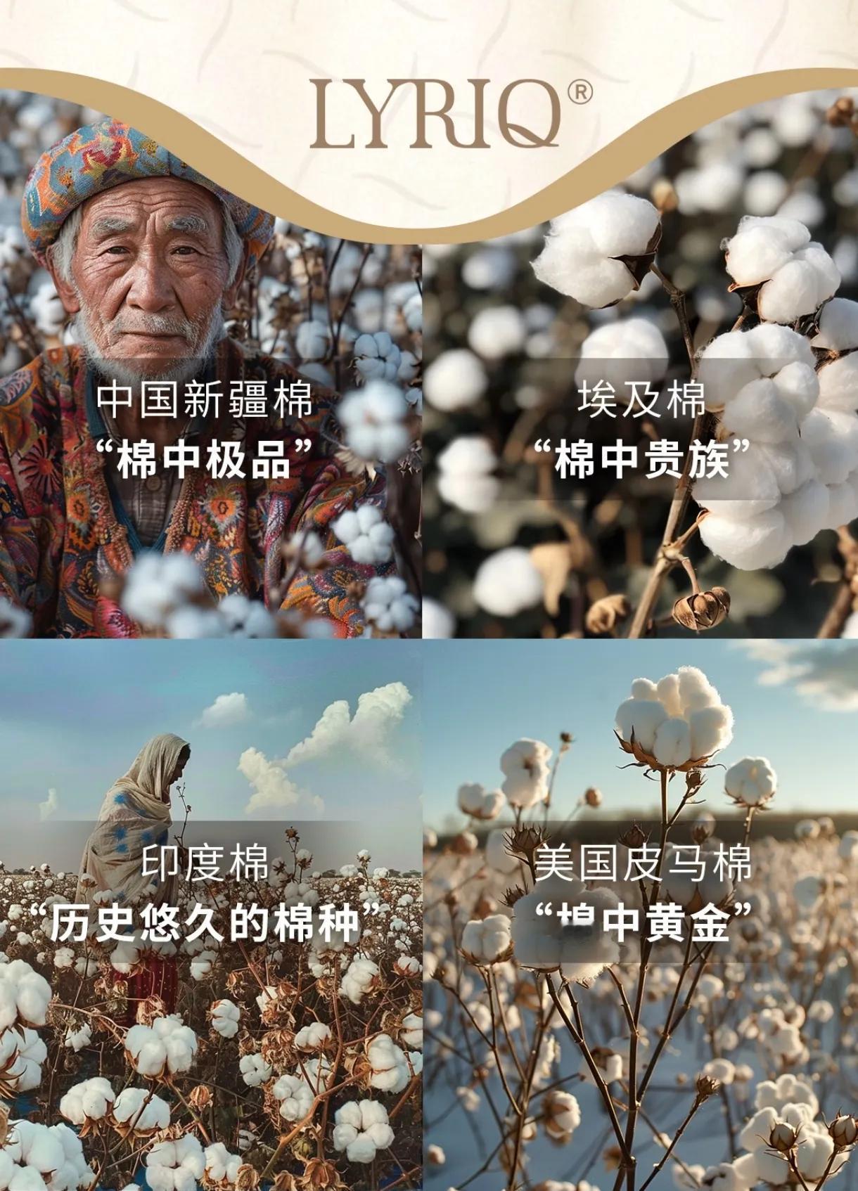 为什么说棉花是为人类而生的植物？完美到不可思议！🥲从贴身的内衣袜子，到床单