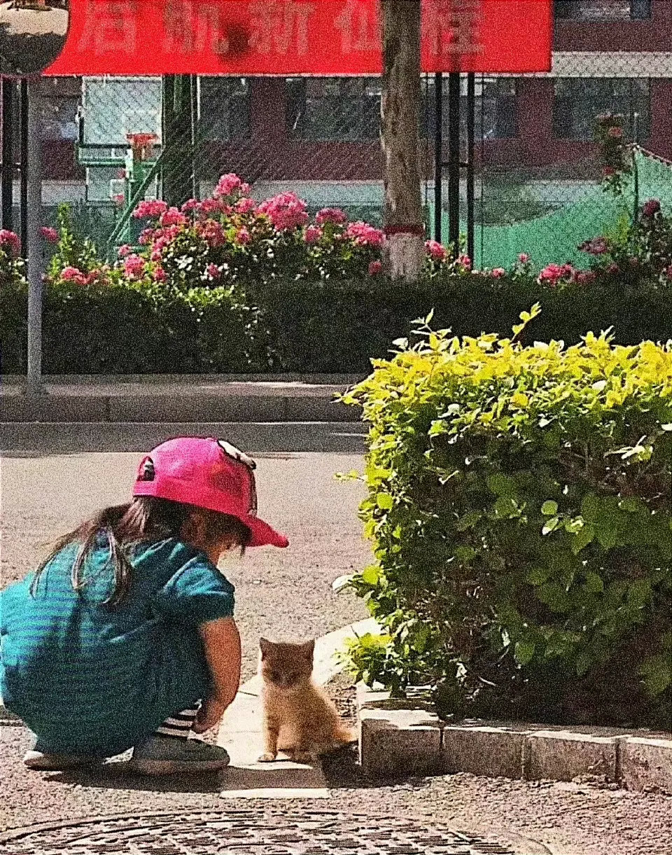 两个小可爱的相遇！