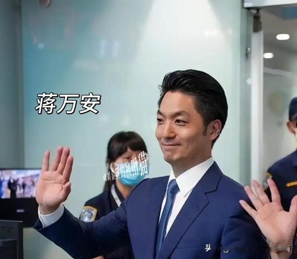 别急着质疑蒋万安、卢秀燕、尹乃菁等人偶尔的态度温和与表述模糊，扣帽子、贴标签更是