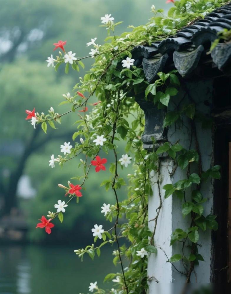 你以为的狠是大吵大闹、脾气炸裂大错特错！真正的狠人从来不动声色。