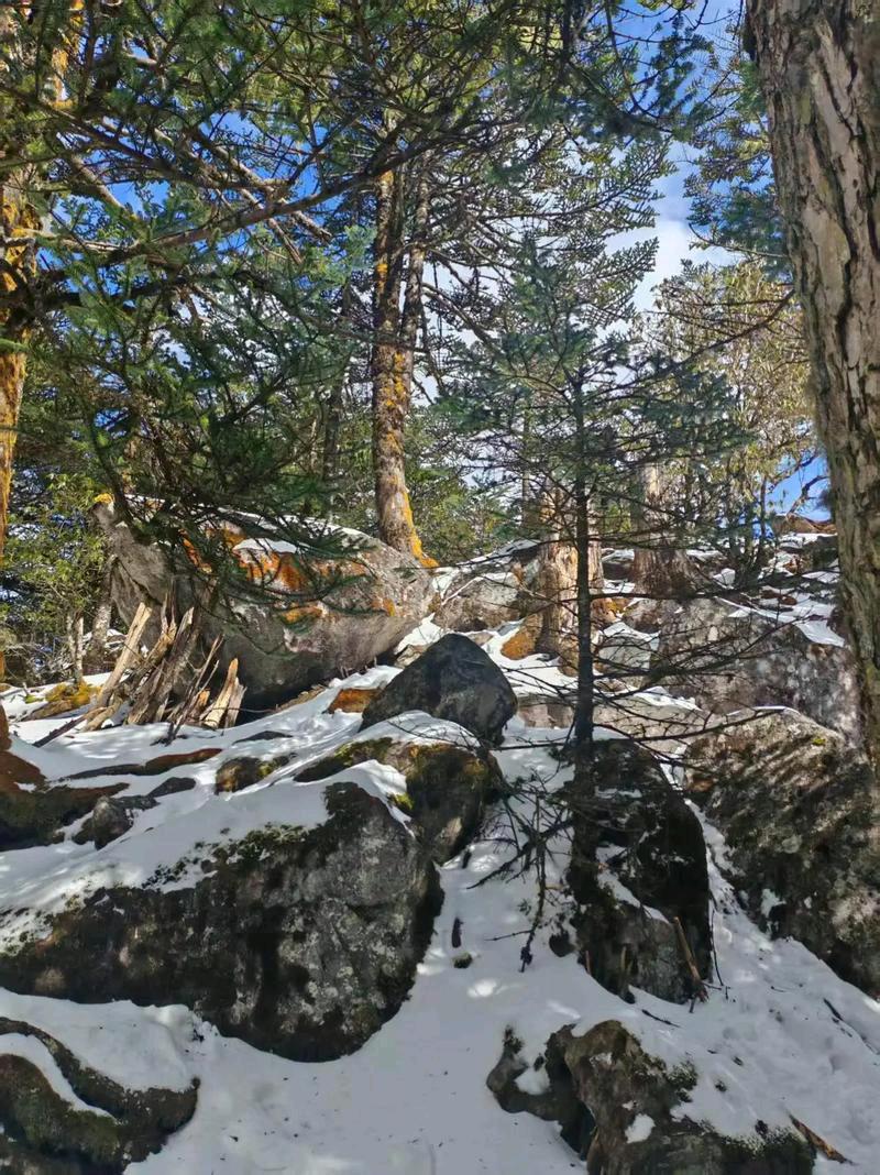 逢年过节，满桌的鸡鸭鱼肉让人直呼吃不下，可曾想过，八十几年前的除夕夜，吃一口带血