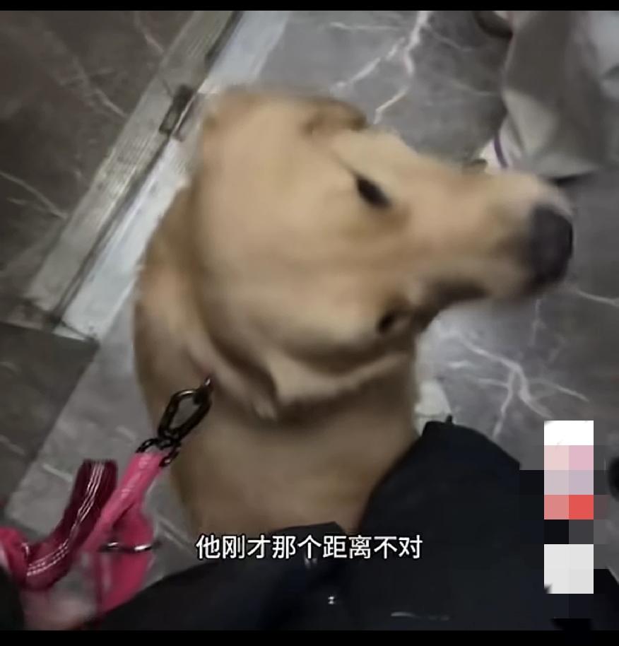 女子牵狗进电梯，吓着老人拒不道歉，你不能整个大长绳让那狗来回串，养狗的和不养狗的