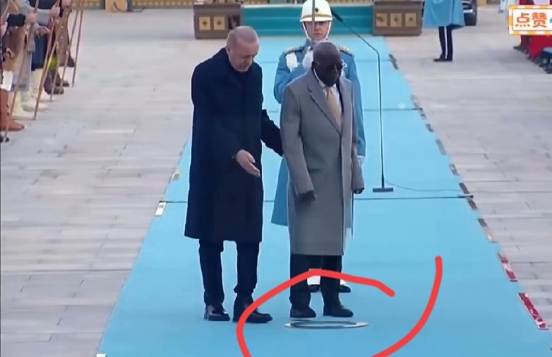 1月27日尼日利亚总统蒂努布访土耳其，在安卡拉的欢迎仪式上上演了一出小插曲：刚走