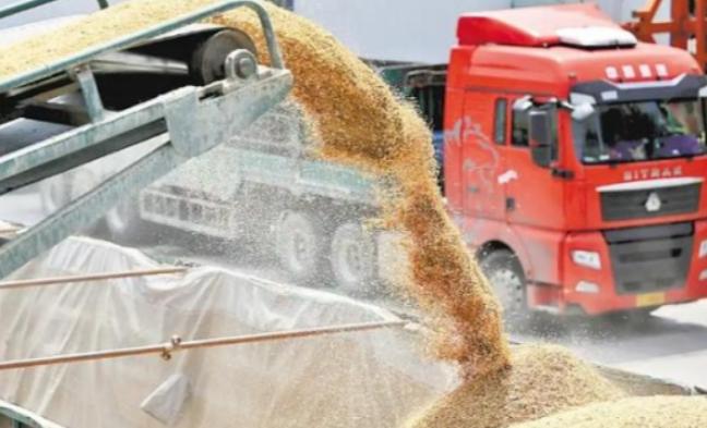 一旦全球停止出口粮食，中国能自给自足吗？说句扎心的，中国或许无法自给自足，但是主