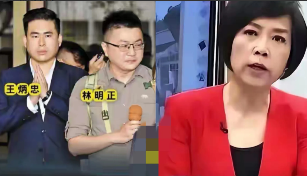 孰是孰非呢？因为馆长，岛内统派再次分裂。她一边在脸书发文，一边翻出旧年录音档，