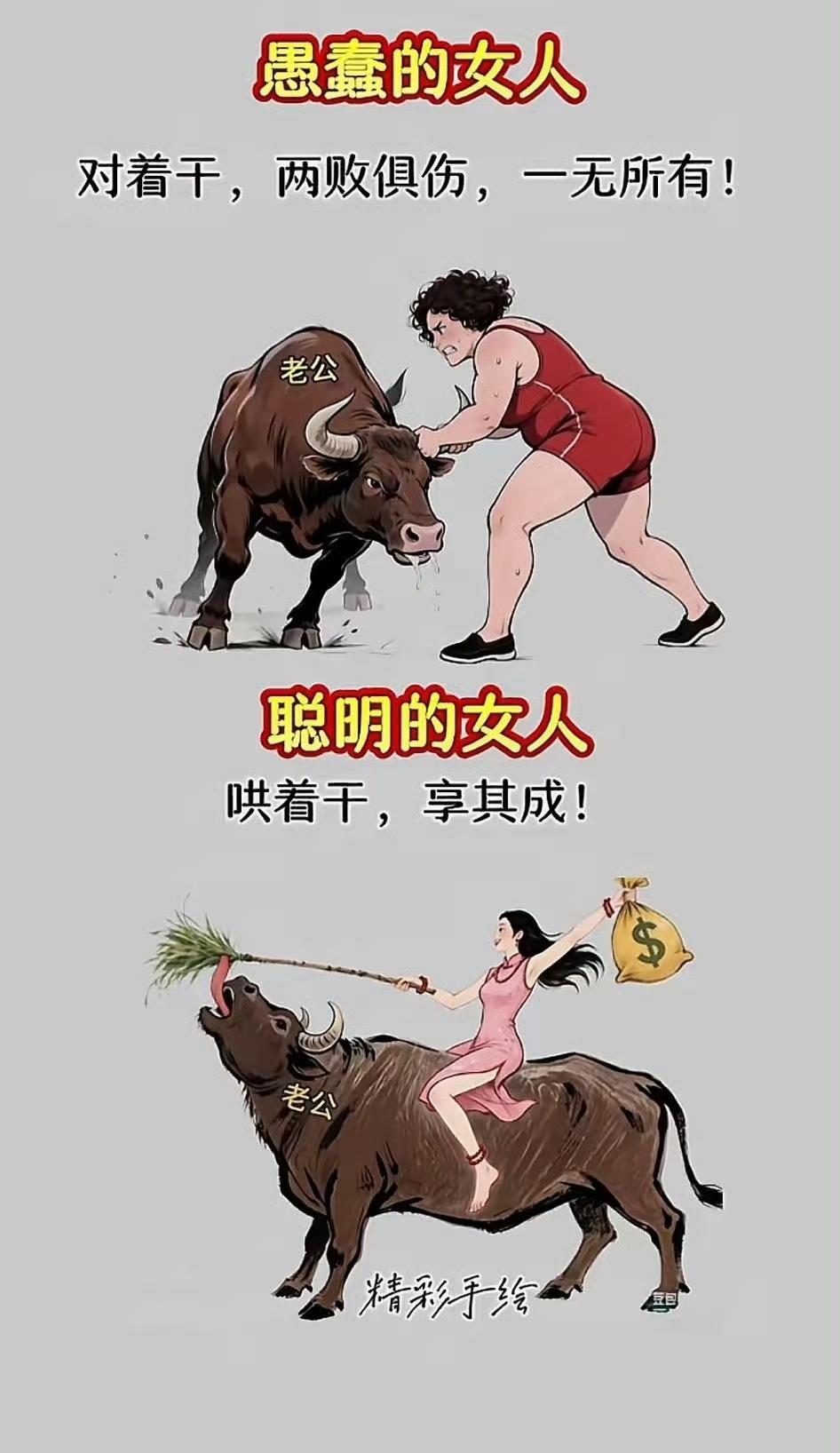 聪明老婆和愚蠢老婆的区别。哈哈有道理。
