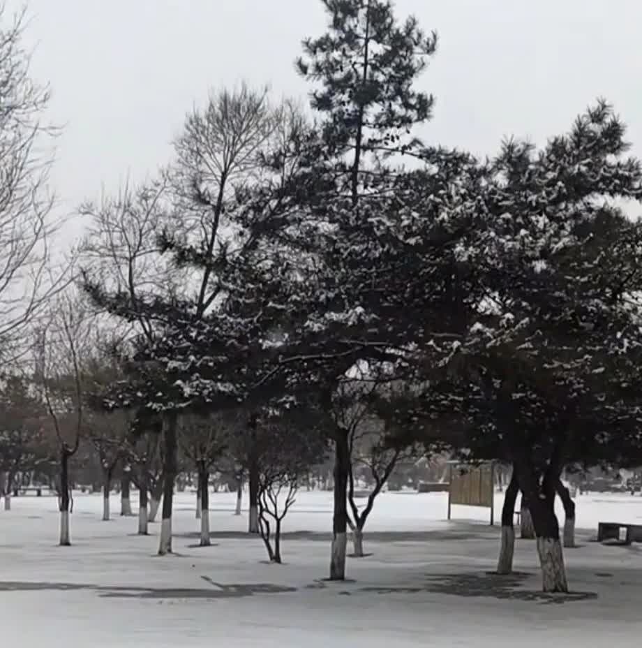 为什么有些同行莫名其妙的就捅郭先生一刀？评书演员孙天啸揭开了背后的暗流涌动，