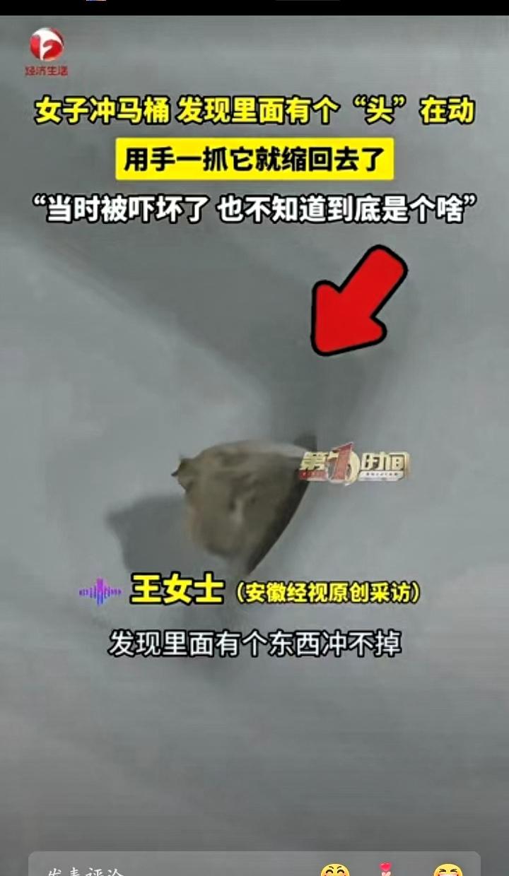 吓冷出‬汗！黑龙江伊春一位女士在家冲马桶，发现水中有异物无法冲净，她误以为是普