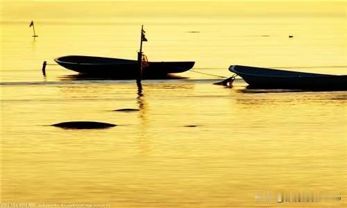 人的一生，生，老，病，死，退，吃，喝，拉，撒，睡。所有的一切，老天就自有安排！这