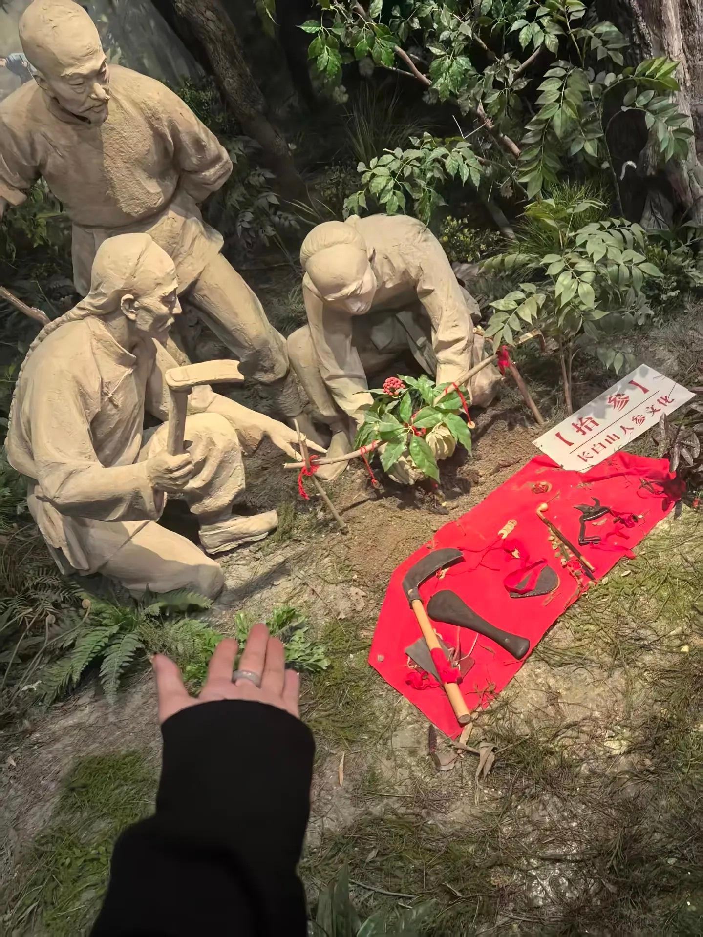 杨幂找到了相同位置📍p1p2吉林省延边市延边博物馆（周一固定闭馆📍p4p