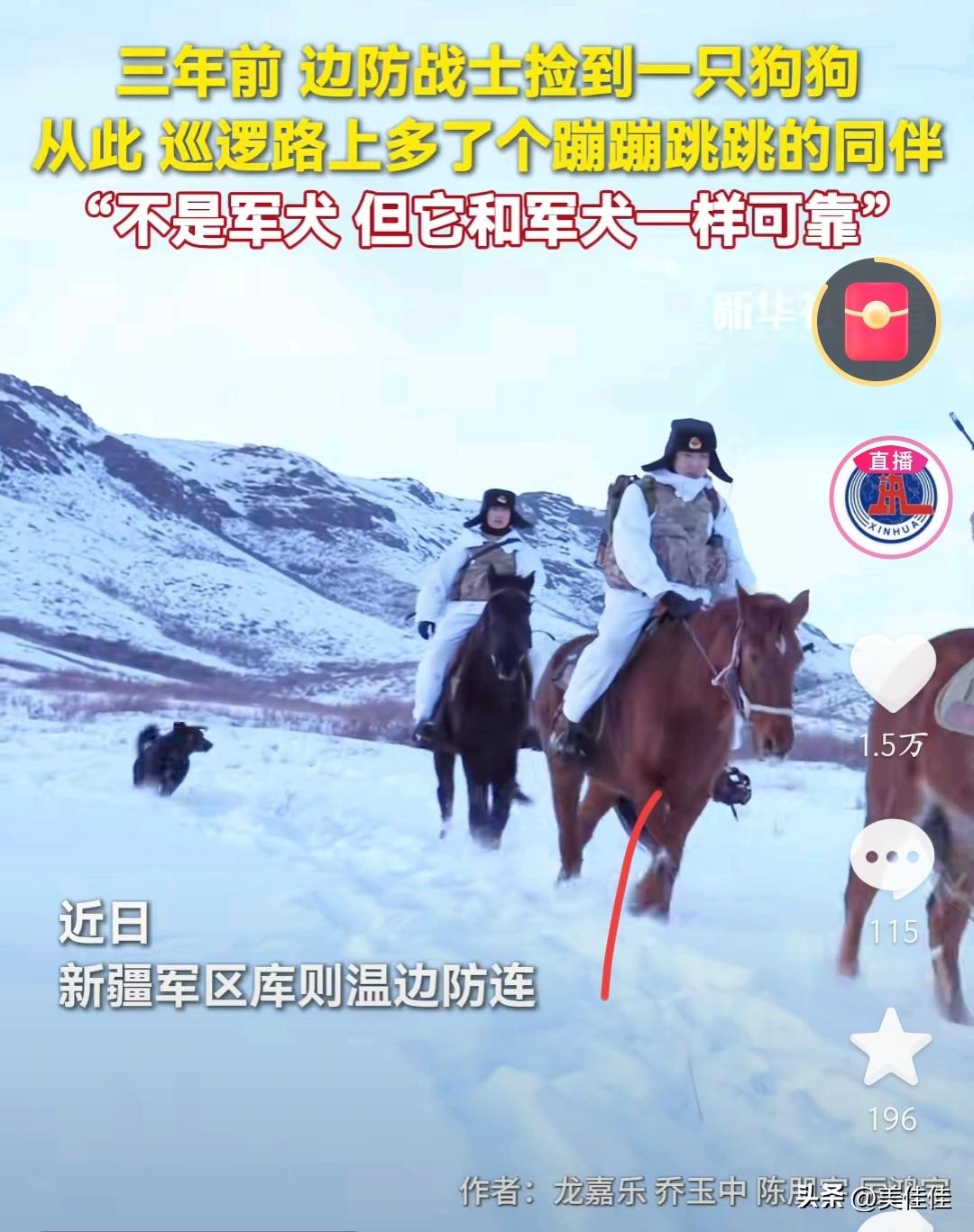 被一只狗暖到了！新疆军区库则温边防连的雪地里，藏着一只超暖心的“编外战友”小黑！