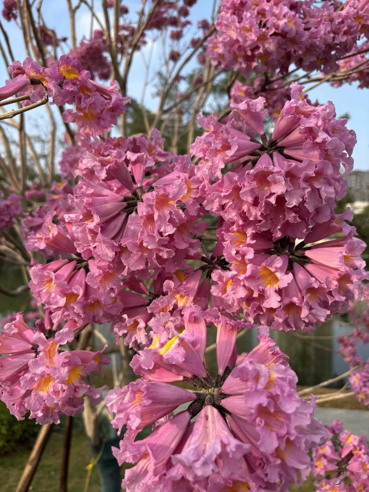 真正的富豪们都在用同一个“作弊码”：真正的财富，撕掉的不是价格标签，而是你人生的