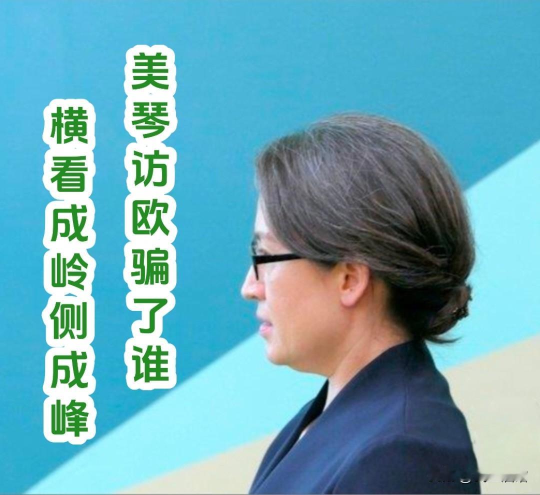 这两天，你是不是看到过萧美琴在欧洲议会“传毒”的消息？有人还挺愤怒……其实，这里