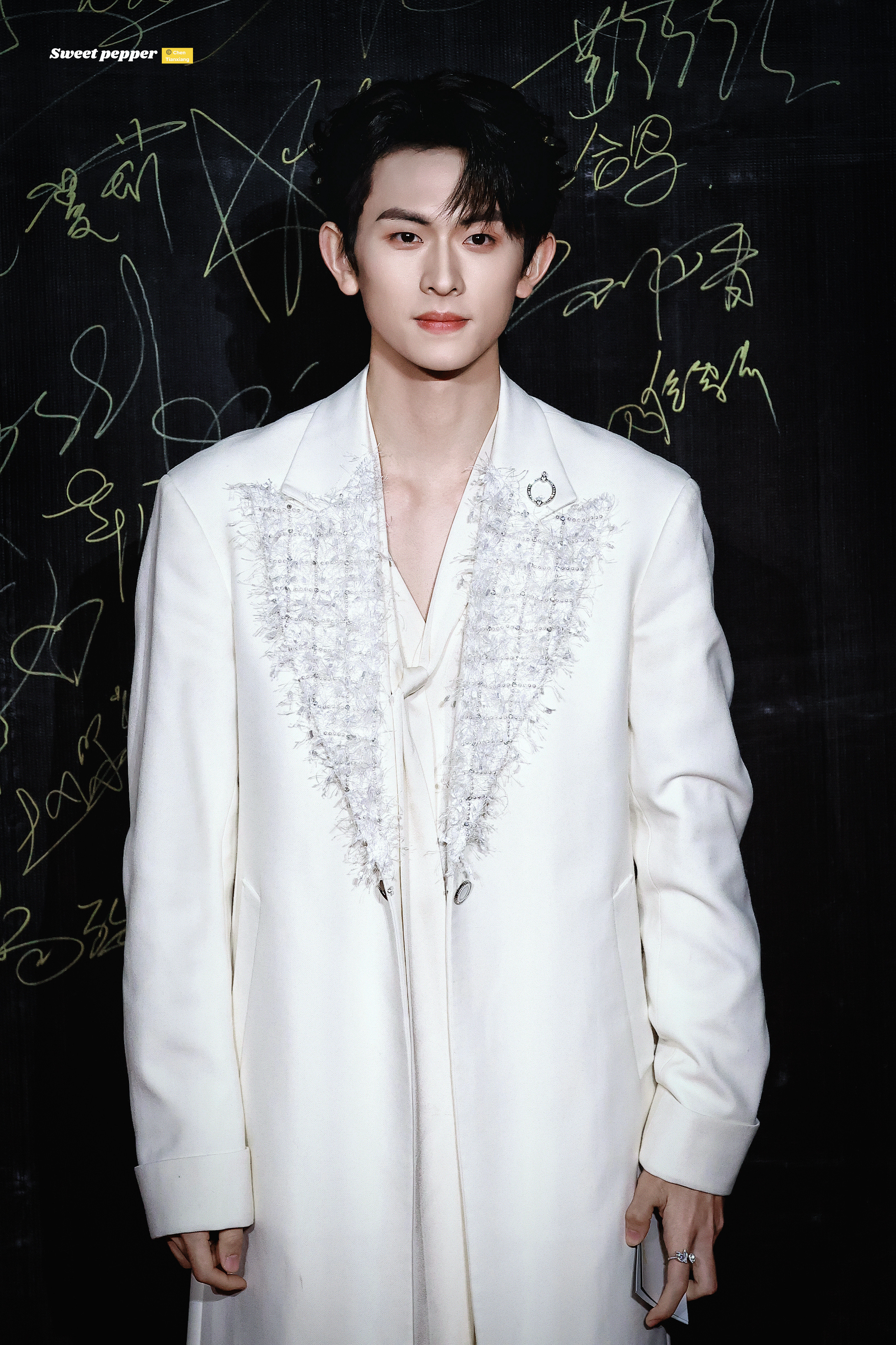 陈添祥红毯压轴恭喜获得2025横店微短剧之夜《年度号召力星耀男演员》，你走过得