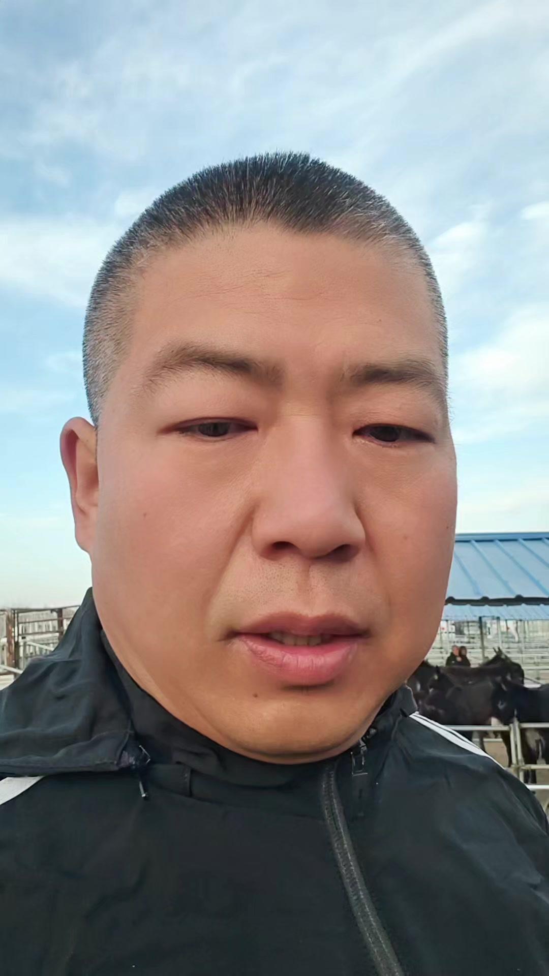 最近很多人纠结买便宜驴苗，其实不然。养驴的核心是“长肉”，同样200来斤的驴，有