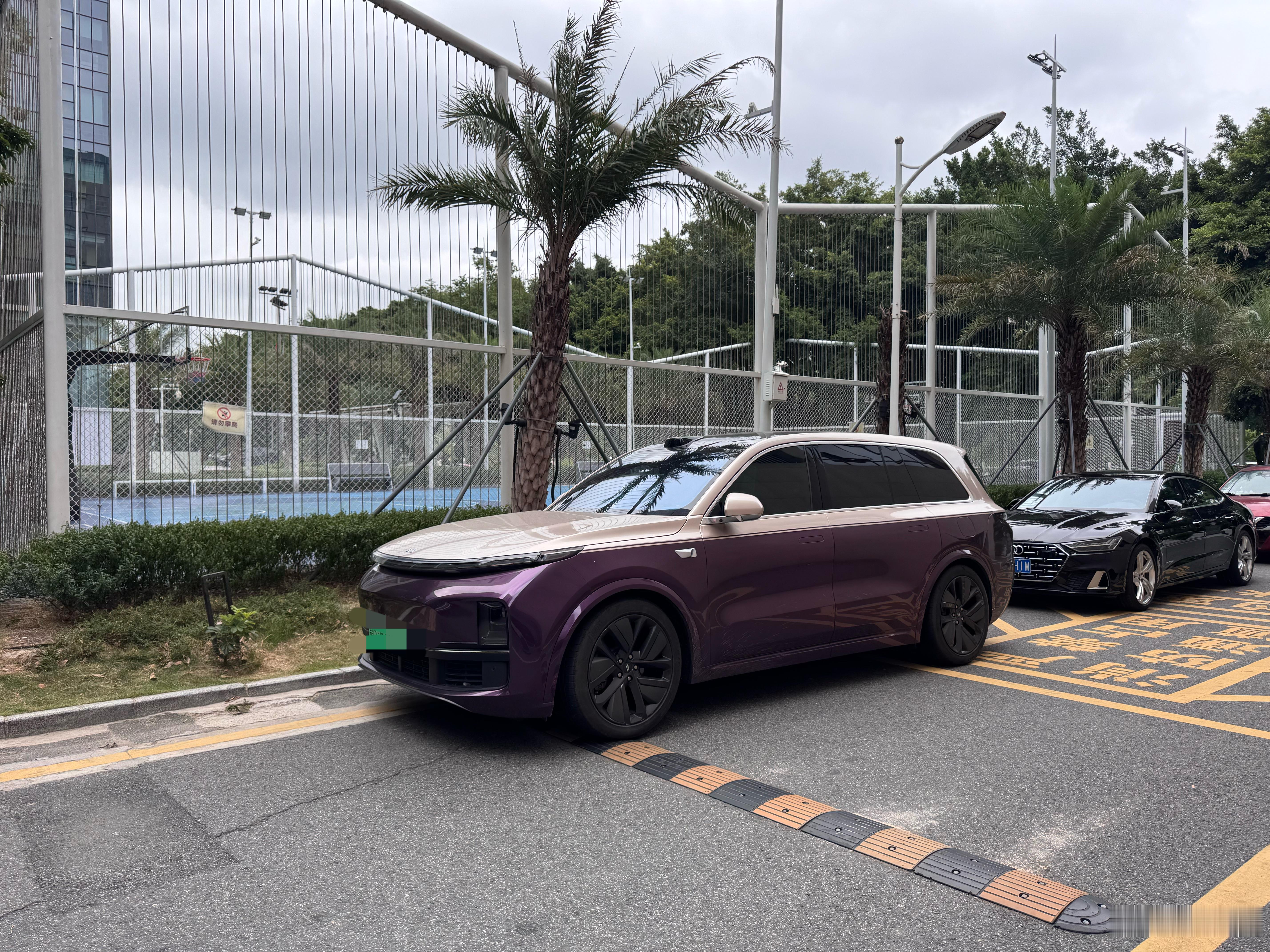 这个车主太有品味了！路过N次，拍了N次的紫金拼色理想！​​​