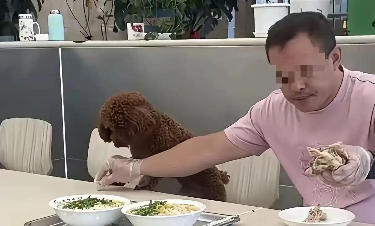 一只狗毁掉二十年老店的口碑诸位朋友，今儿咱们说说一桩让二十年老店“晚节不保”