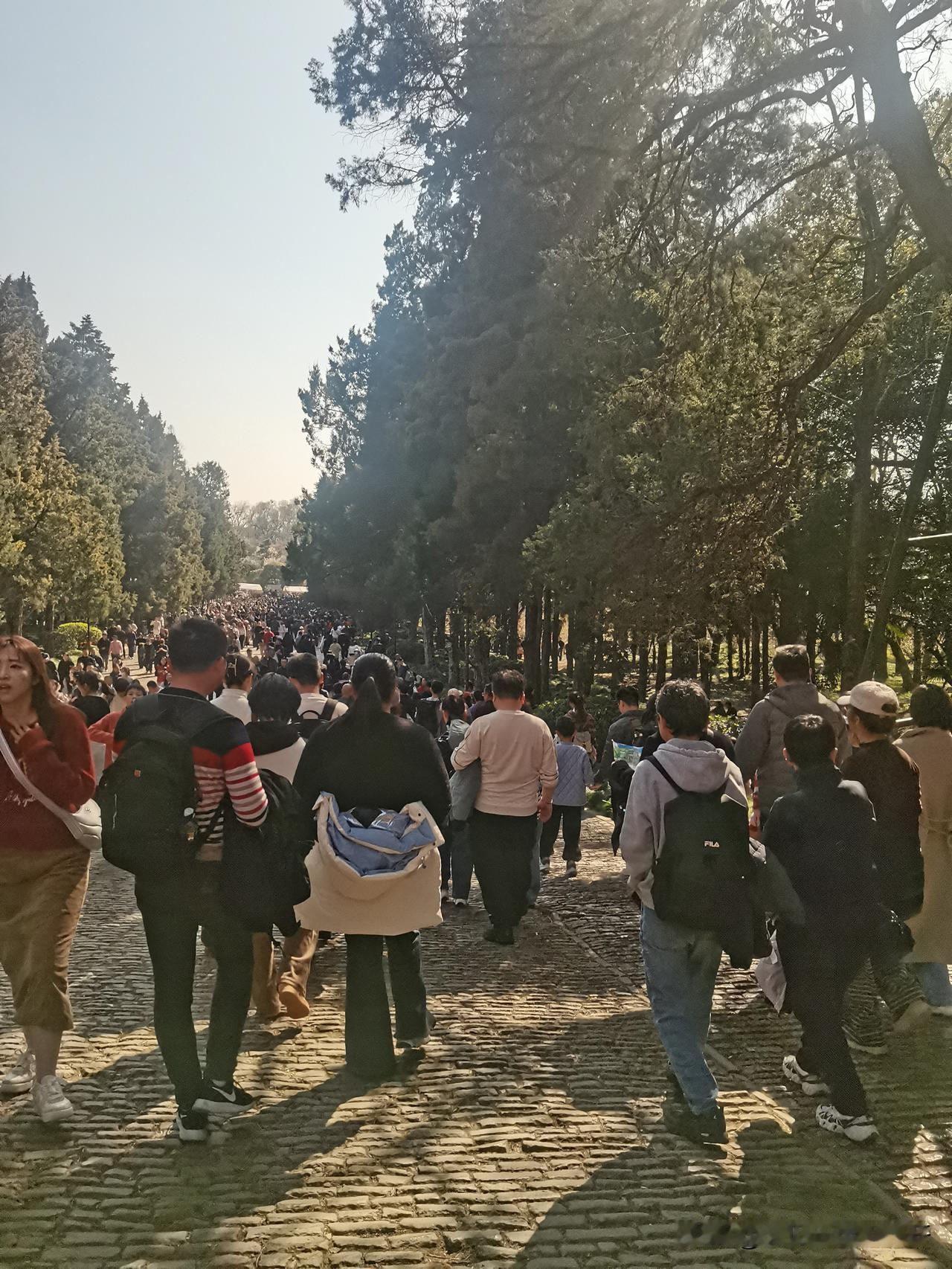 据说南京五天来了九百万游人我觉得还行吧，起码还能正常走路。从市区往风景区