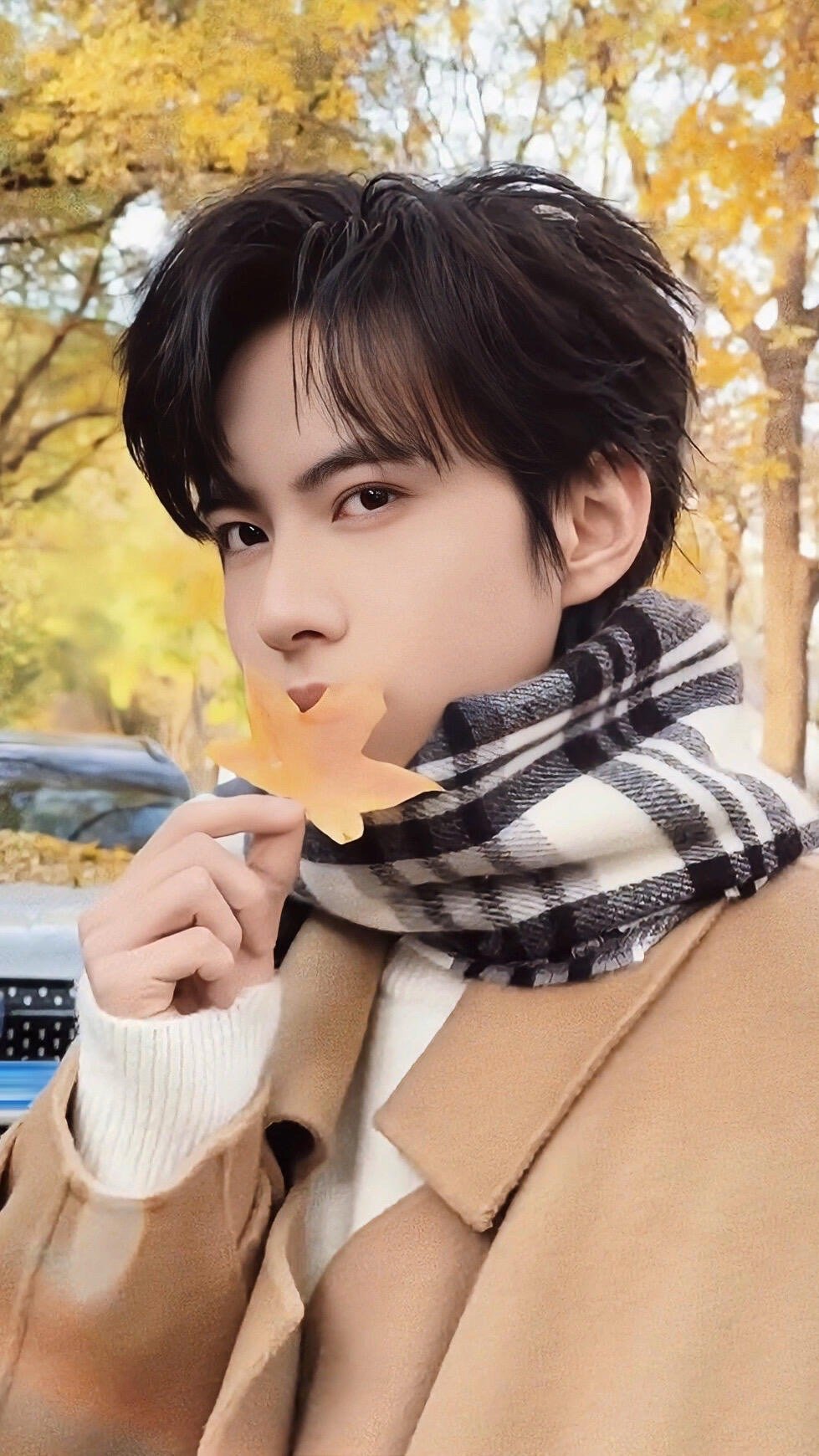 期待值拉满！刘轩丞亮相厦门，冷峻外表下藏着反转魅力，这位“冷脸萌”大学生注定要成