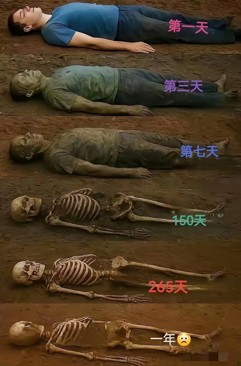 人都是这个结果，火化，更快融入大自然。