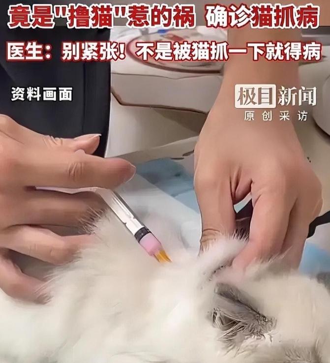 浙江杭州，5岁男孩航航右腋下冒出个“蚊子包”，谁料一个月竟疯长成鸡蛋大，疼得连手