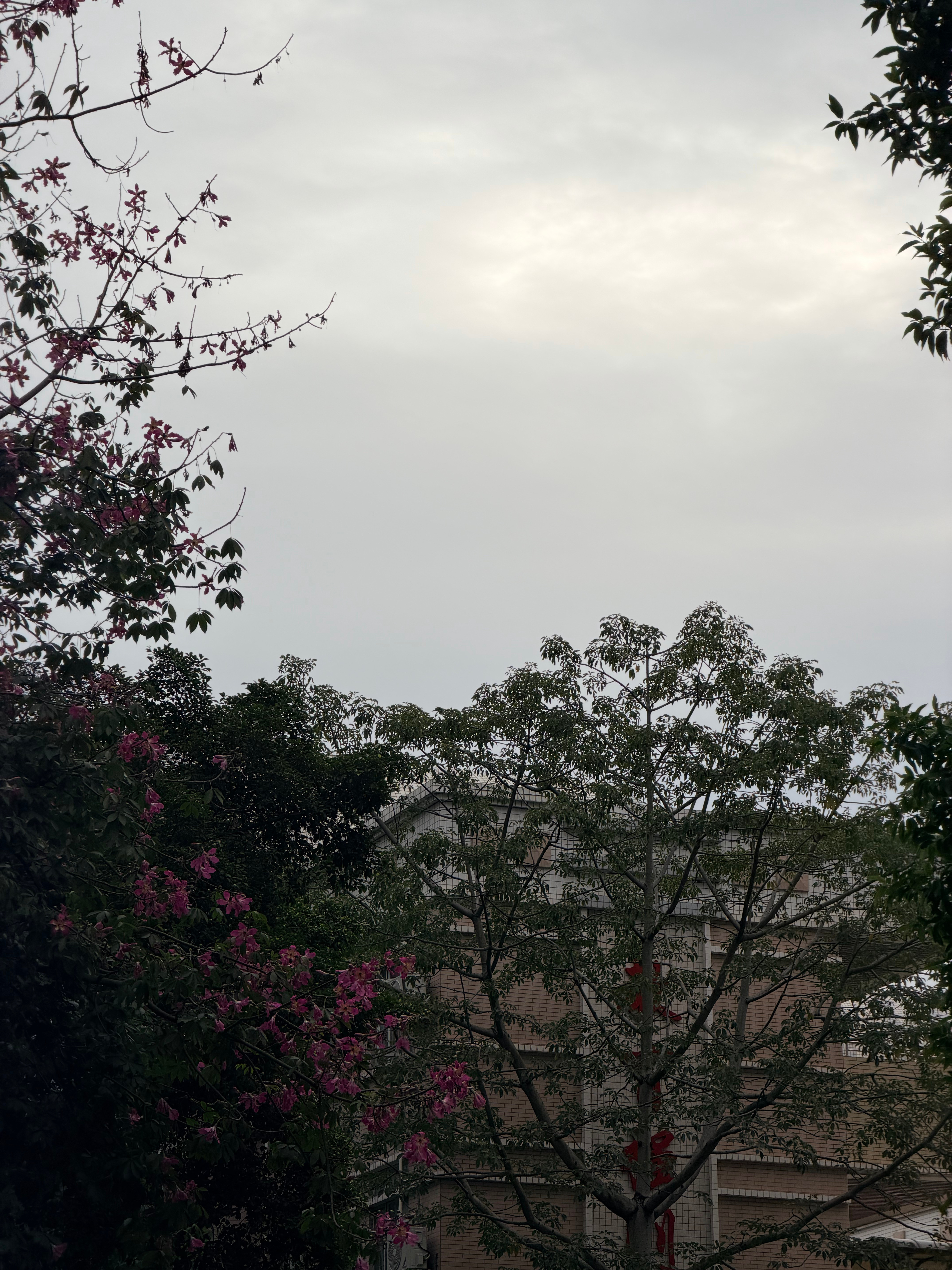 早早早（今天好冷）