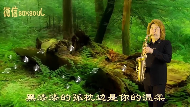 恋曲1990(苏嘉明萨克斯独奏0_土豆视频