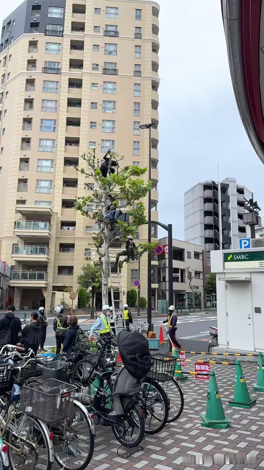 终于知道为啥日本人员短缺了。​去超市一出来，门口咋这么多人呢，一抬头好家伙，