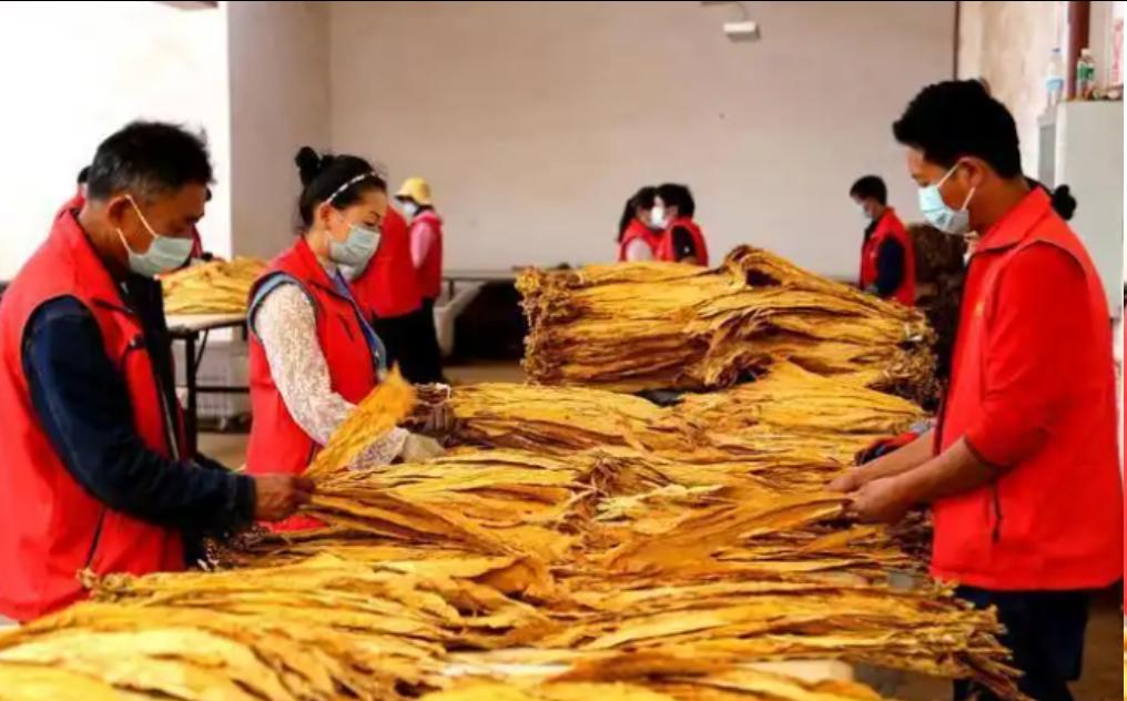 河南一小伙投资200万自己做生意，七天回本，55天小伙成倍翻利。被抓时他不服气：