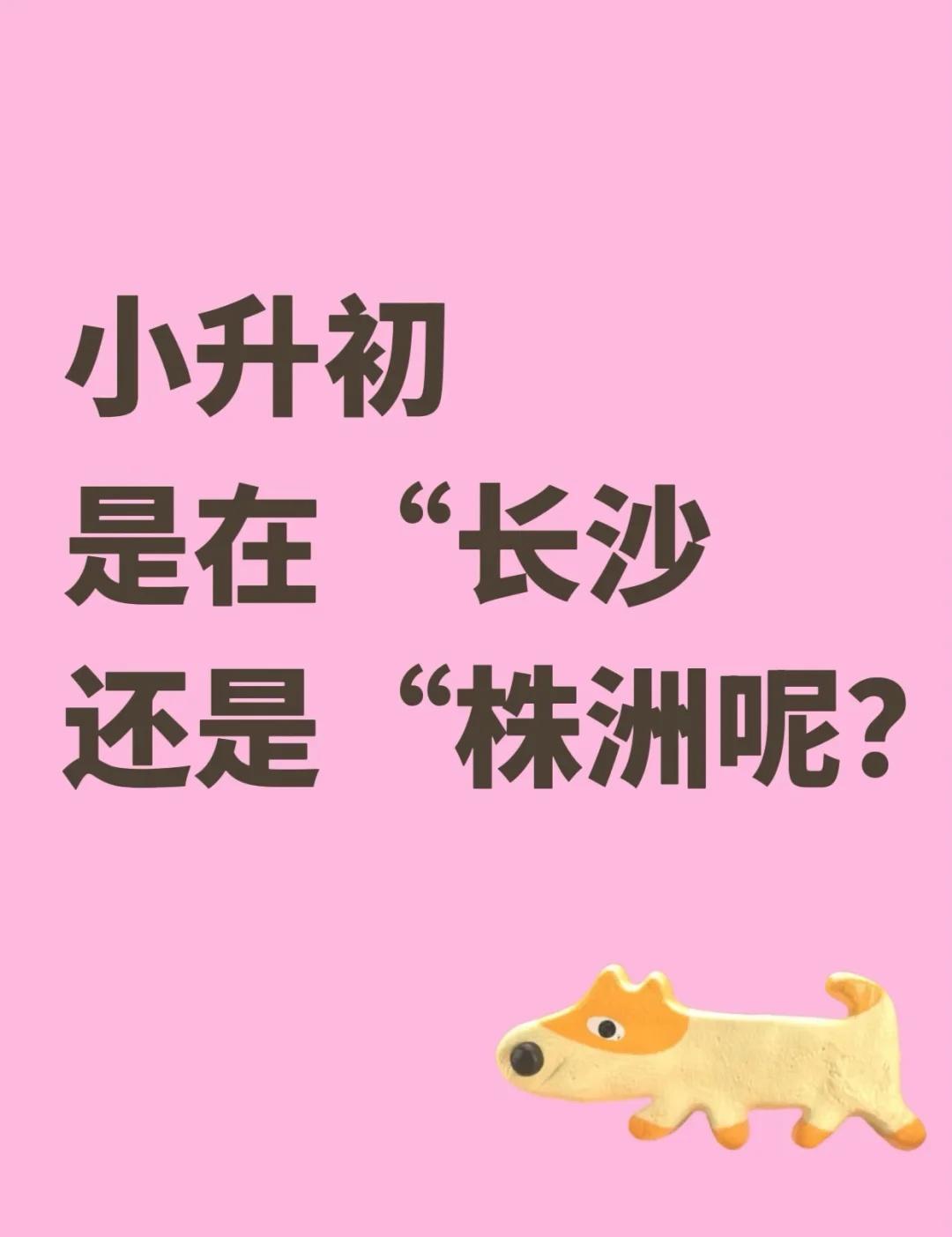 小孩选长沙还是株洲读书呢？男宝两枚，株洲长沙各有房产爸爸在长沙上班，麻麻在株