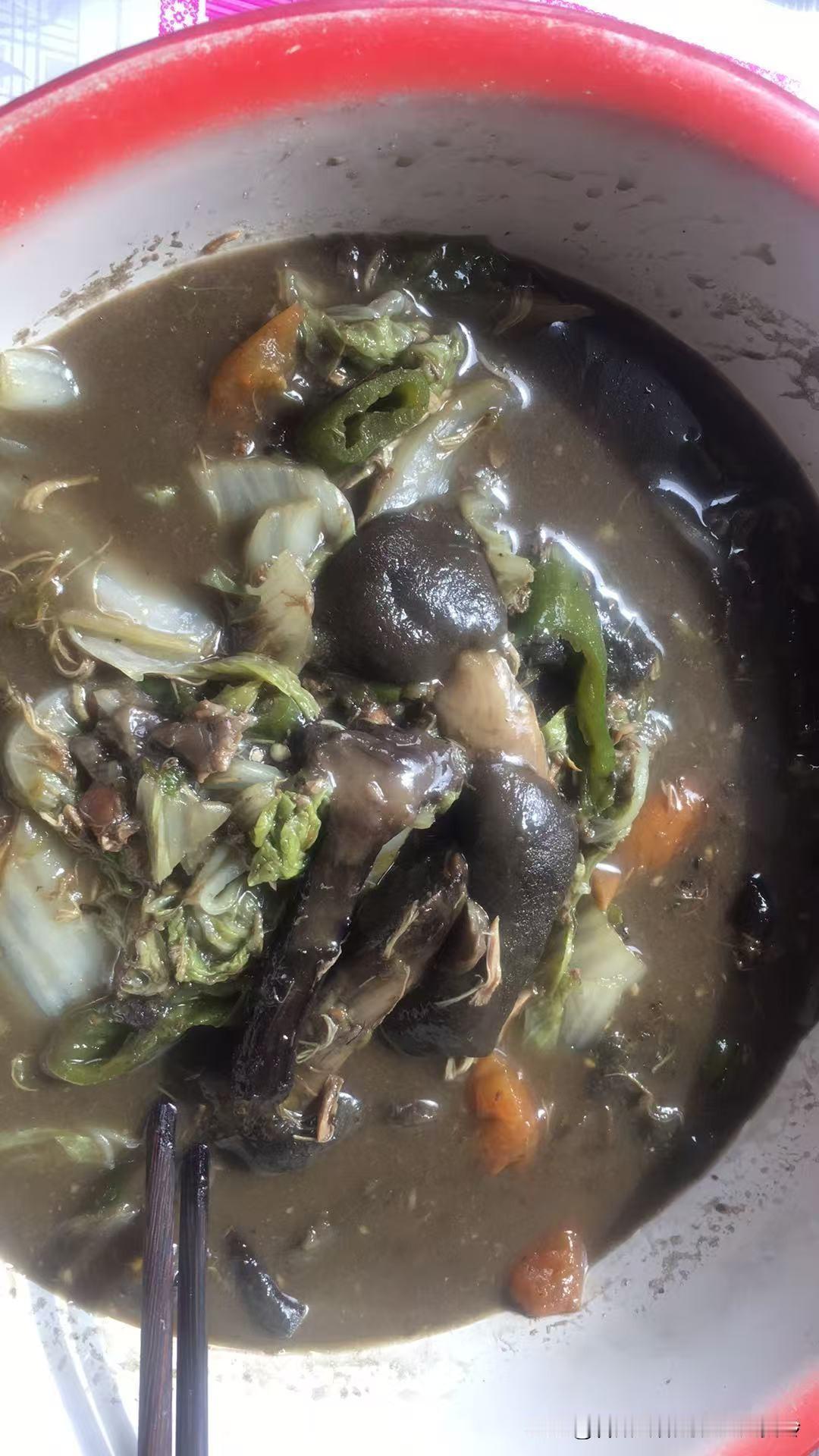 都是牛肝菌，我拿辣椒炒，吴大哥拿白菜炒。一对比，我还是更喜欢辣椒炒。
