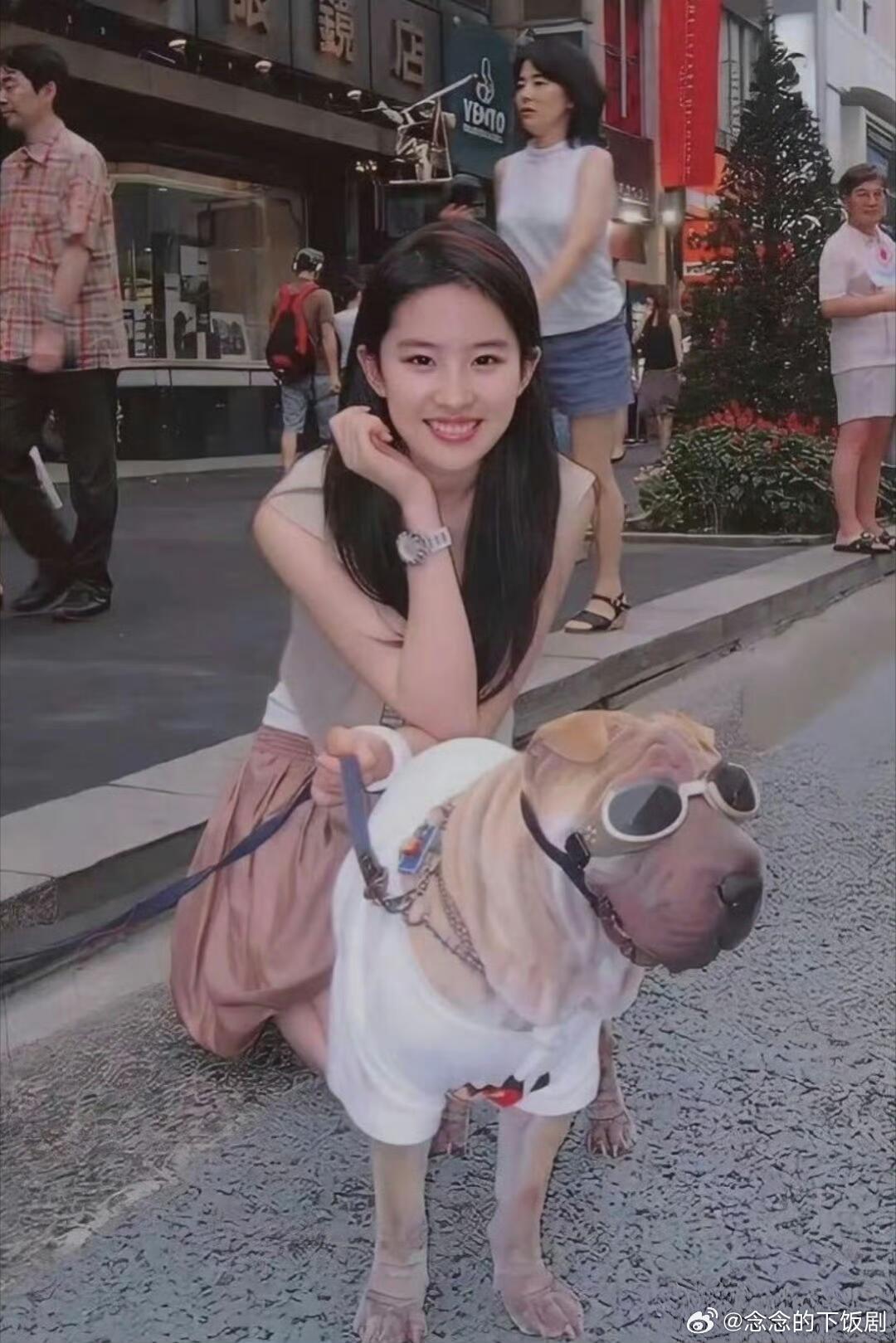 刘亦菲刘亦菲和她的幸福小狗菲包古早心动瞬间刘亦菲‖