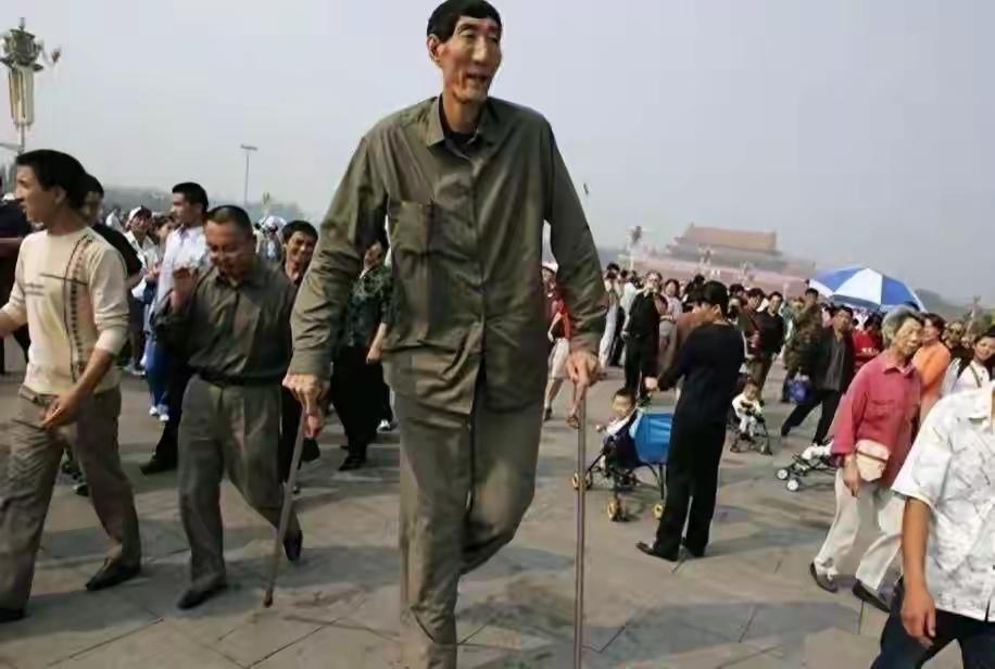 鲍喜顺的儿子名叫鲍天佑，出生于2008年。截至2025年，鲍天佑17岁，身高约为