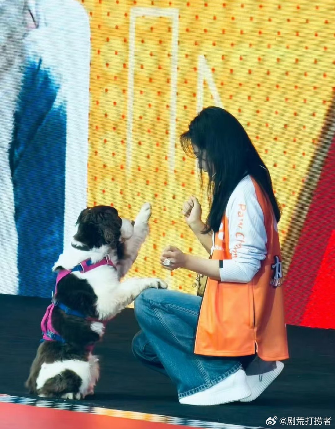 刘涛王牌小狗查理刘涛带狗上综艺了救命！！！褪去光环抱着自家小宝贝贴贴，温柔知性刘