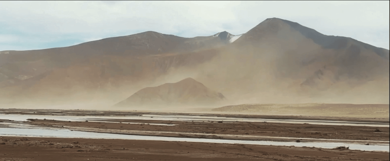 生命树把西北的野拍进骨子里冻土上的坚守，暴风雪中的逆行， 感谢生命树让我们看到巡